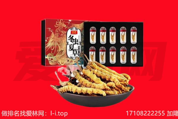 石河子双河市回收虫草.jpg